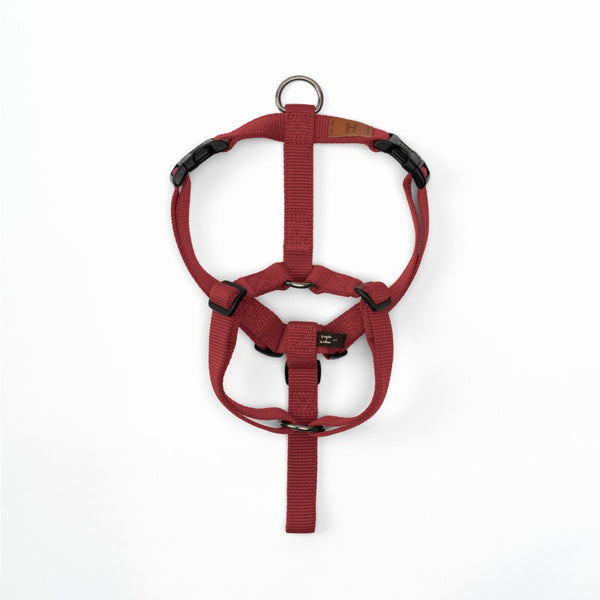 [PRE ORDER] Harness H