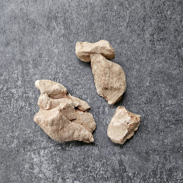 Freeze-Dried Kangaroo Meat