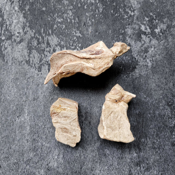 Freeze-Dried Camel Heart