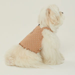 The Sally's Law Chloe Top in Latte Dot — product photo 4