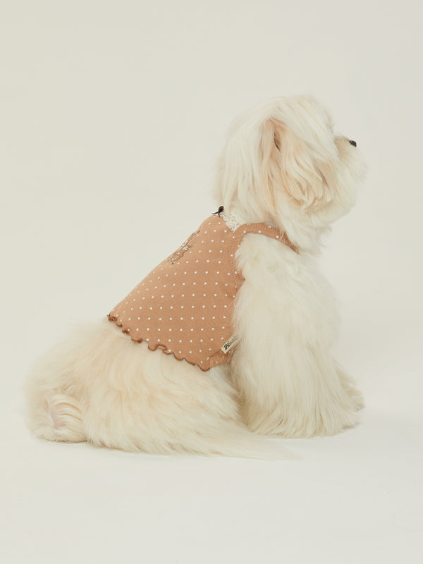 The Sally's Law Chloe Top in Latte Dot — product photo 4