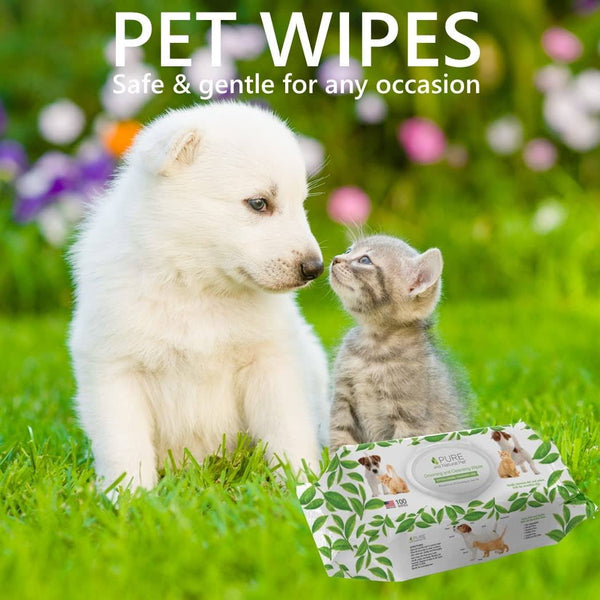 Grooming and Cleansing Wipes