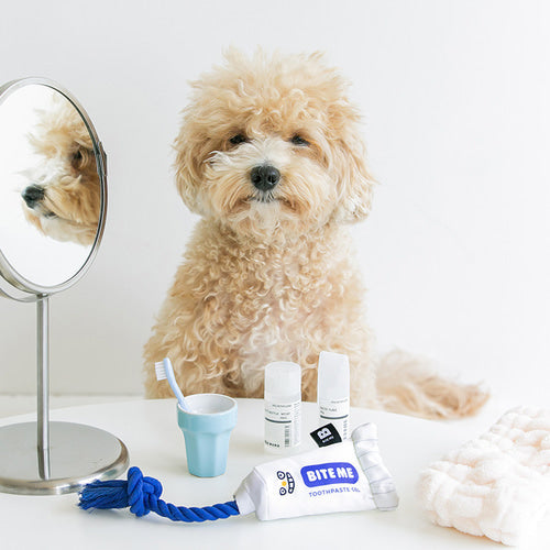 Toothpaste Gel Plush Toy — view 2