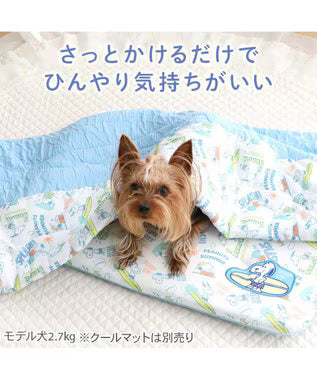 Snoopy Mochitto Cool Reversible Blanket