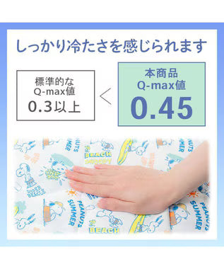 Snoopy Mochitto Cool Reversible Blanket