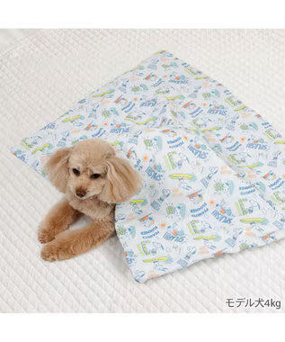Snoopy Mochitto Cool Reversible Blanket
