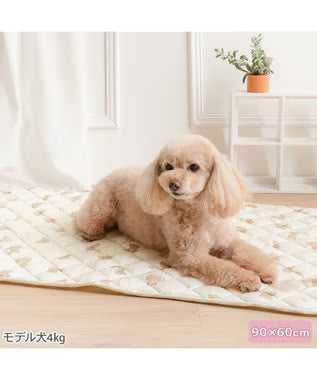 Bear Cool Mat M