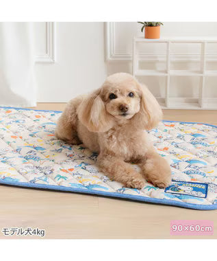 Snoopy Cool Mat M