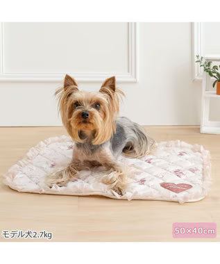 Minnie Mouse Heart Cool Mat S