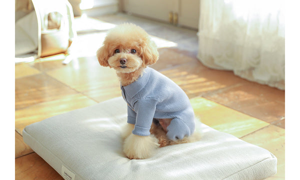 Collar Knit All In One