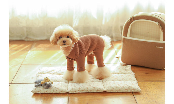 Collar Knit All In One