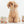 Load image into Gallery viewer, Little Farm Veggie Mix

