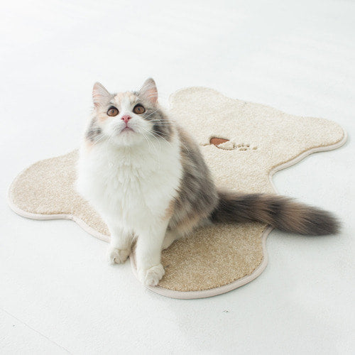 Cat Bear Scratcher