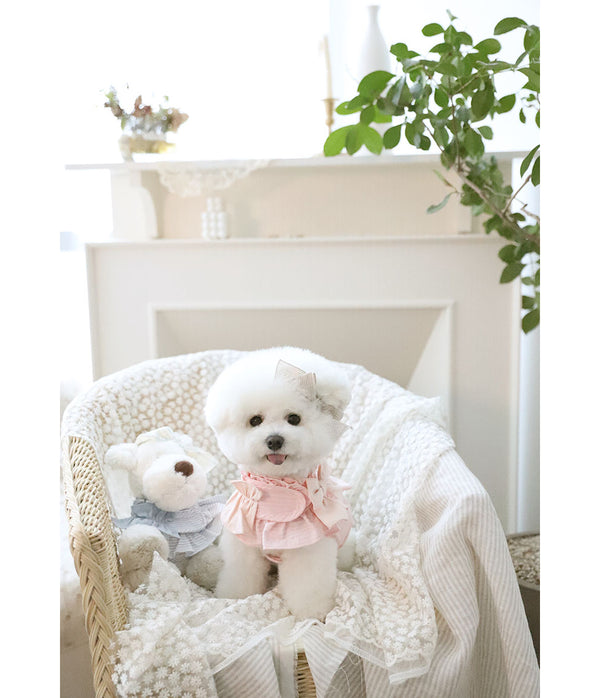 Summer Stripe Harness