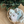 Load image into Gallery viewer, Snow Reversible Padding
