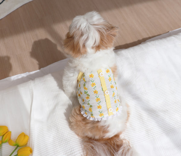 Daisy Garden Top
