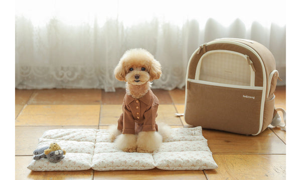 Collar Knit All In One