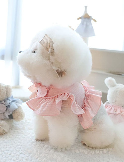Summer Stripe Harness