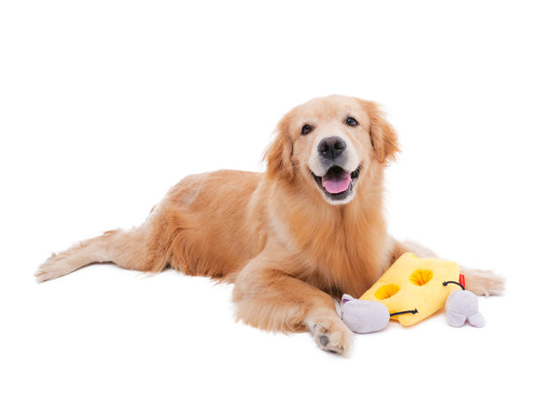 Cheese Hunting Toy
