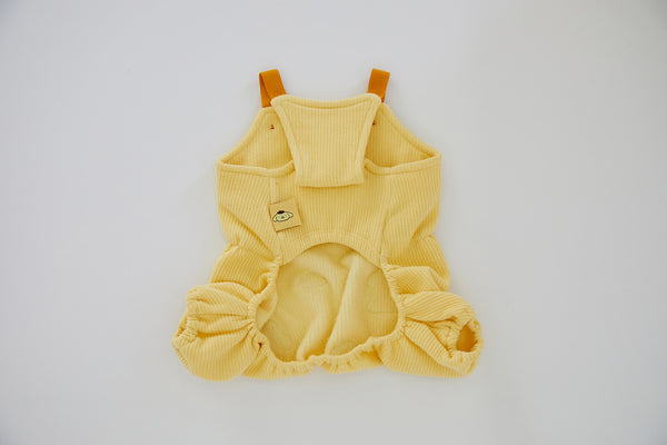 Pompompurin All In One