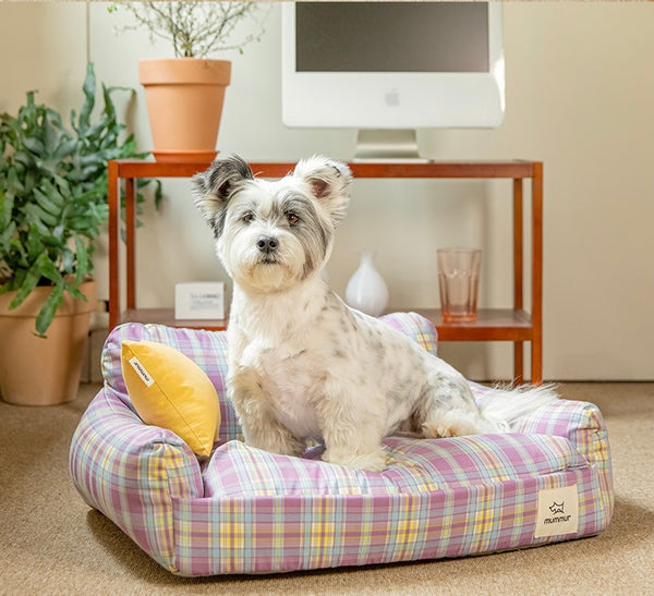 Tart Cushion