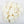 Freeze Dried Ricotta Cheese Berry Mix