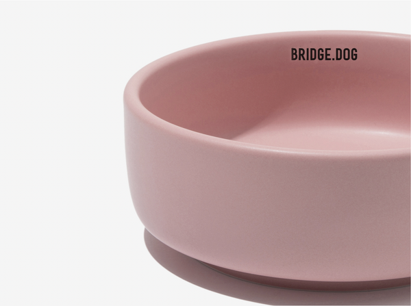 Basic Bowl Pink Matte Astron Pet