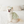 Load image into Gallery viewer, Sherbet Ballon Top
