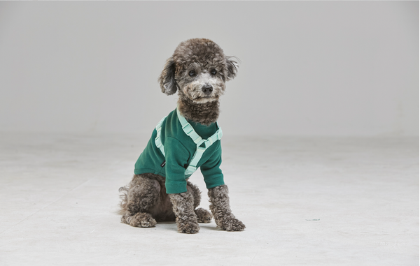 Macaron Dog Harness