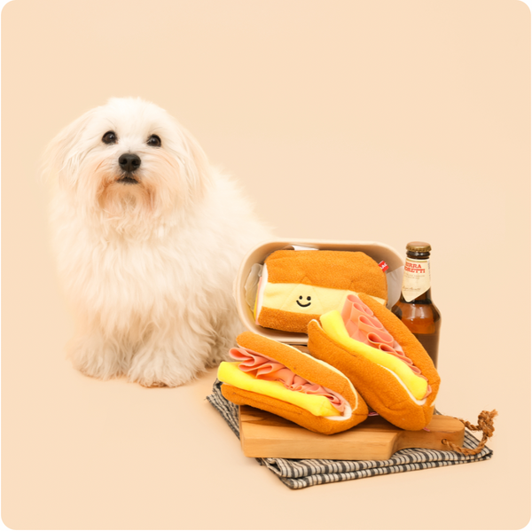 Crispy Toast Nose Work Toy – Astron Pet