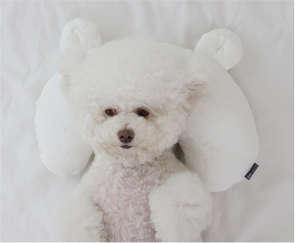 Rayon Ice Bear Cool Mat
