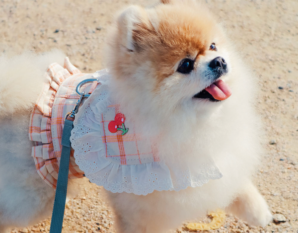 Cherry Check Harness Vest