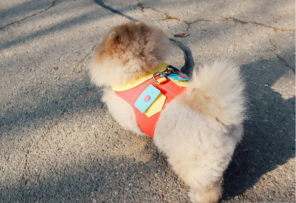 Candy Pockets Harness Vest