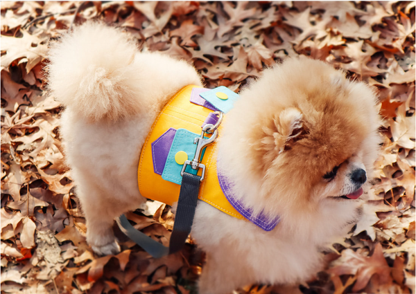 Candy Pockets Harness Vest