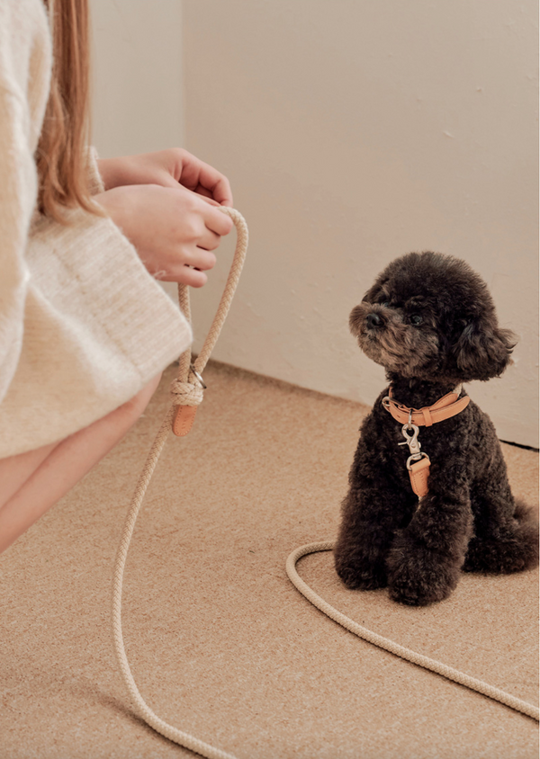 Classic Rope Collar