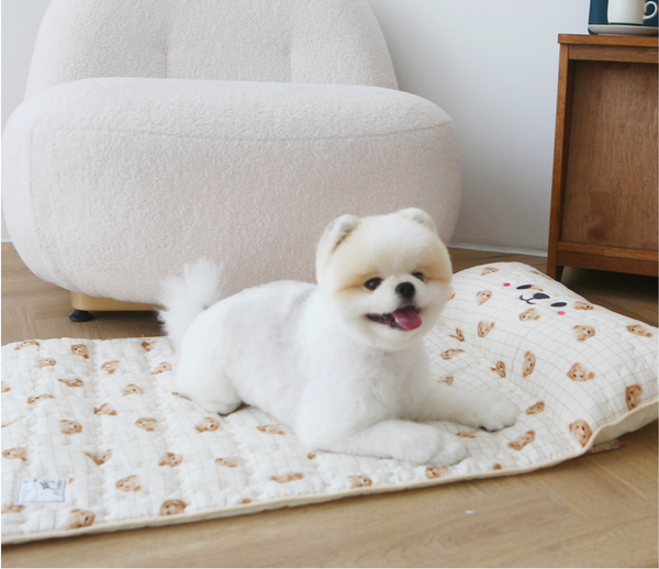 Ice Bear Cool Mat