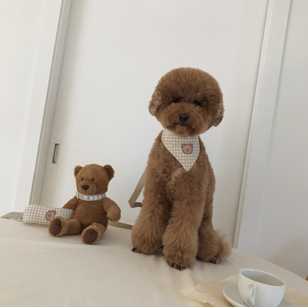 Bear Scarf Collar