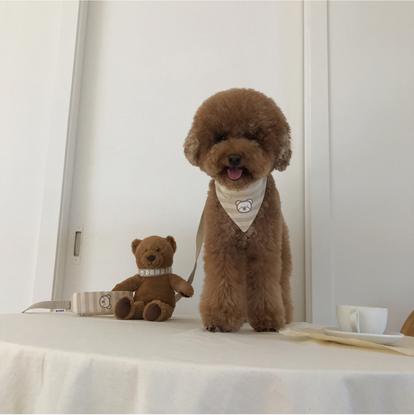 Bear Scarf Collar