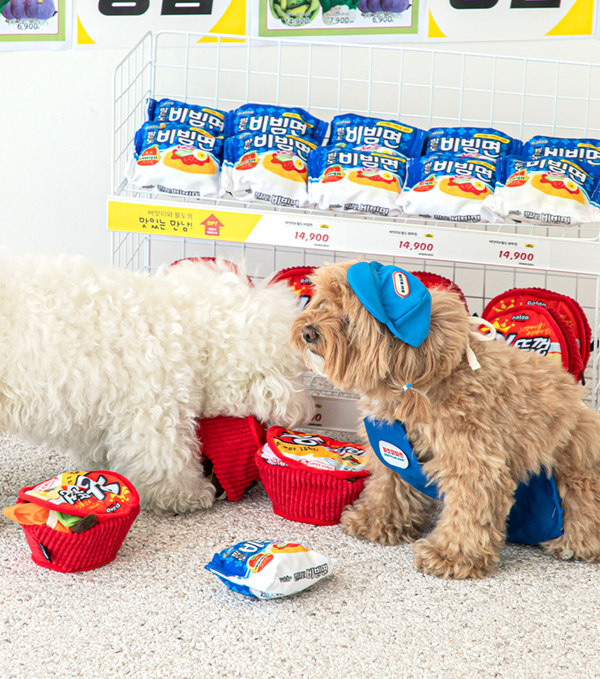 Nosework Dog Toy Ramen