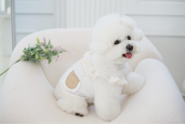 French Rattan Dress