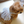 Load image into Gallery viewer, Sherbet Bustier
