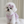Load image into Gallery viewer, Sherbet Bustier
