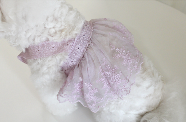 Sherbet Bustier