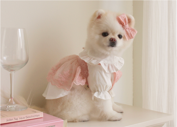 Sherbet Bustier