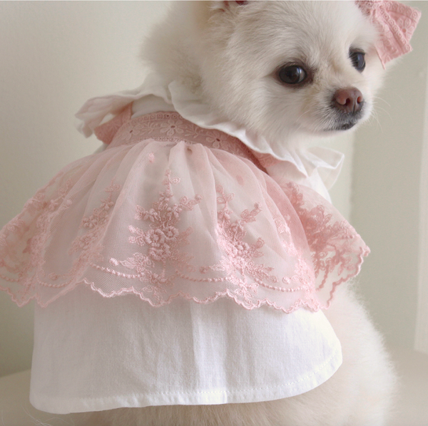 Sherbet Bustier