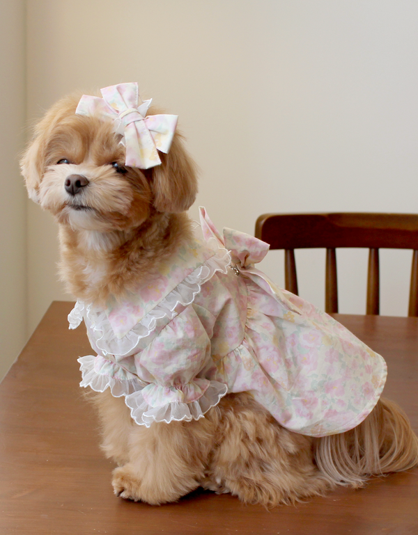 Fruit Chiffon Dress