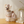 Load image into Gallery viewer, Fruit Chiffon Dress
