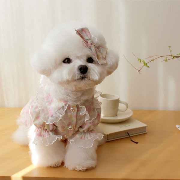 Fruit Chiffon Dress