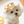 Load image into Gallery viewer, Sorbetto Straw Hat
