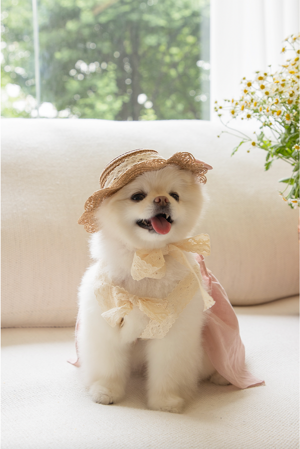 Sorbetto Straw Hat
